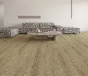 2597-255 ROOM.webp
