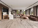 2597-255 ROOM2.webp