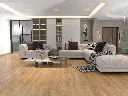 2577-255 ROOM.webp