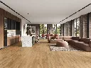 2592-255 ROOM2.webp