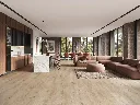 2572-55 - ROOM2.webp
