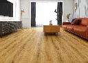 2592-255 ROOM.webp